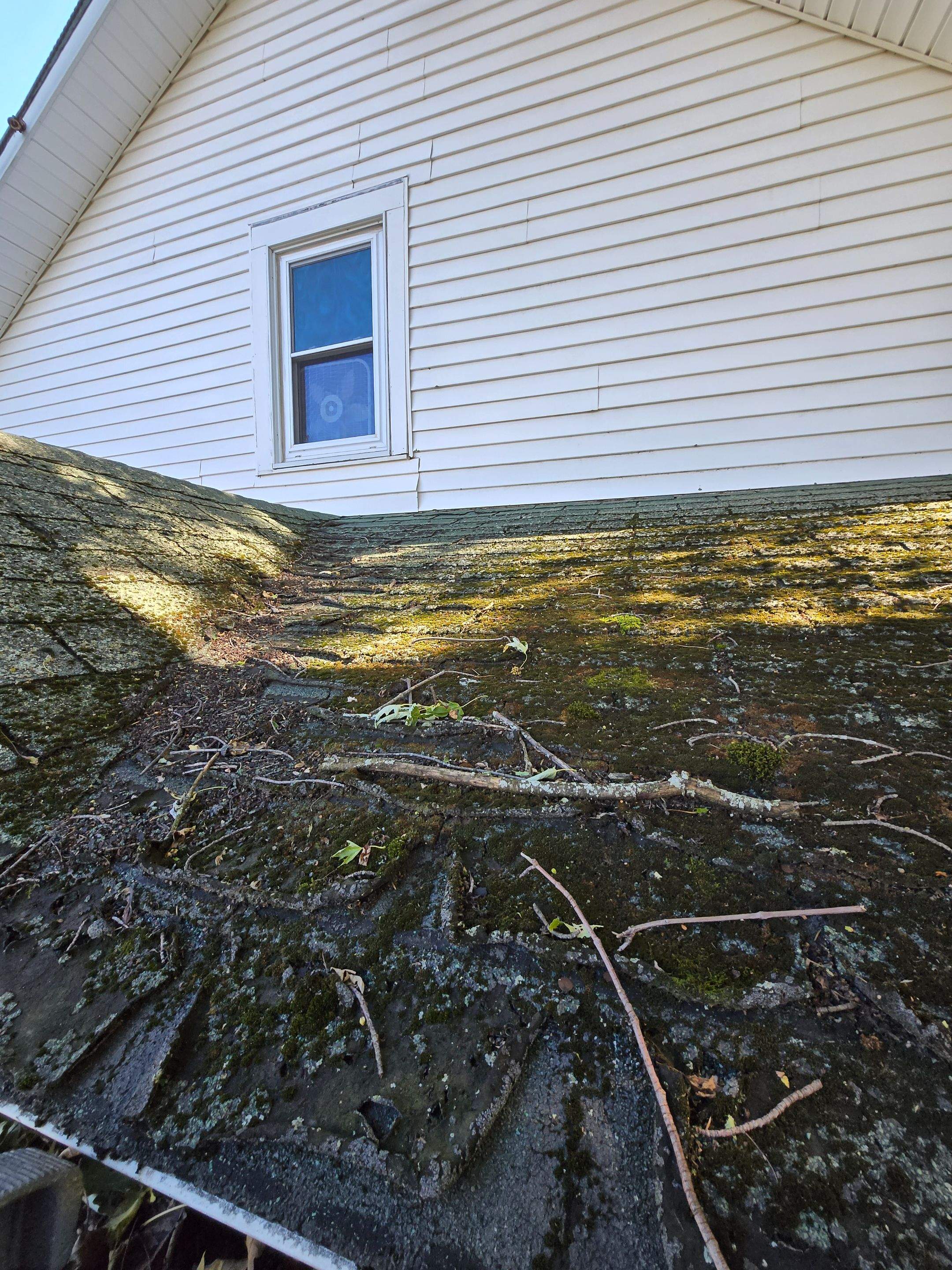 Entryway Roof Restoration & Shingle Upgrade by Level Up Roofing and Restoration Services LLC