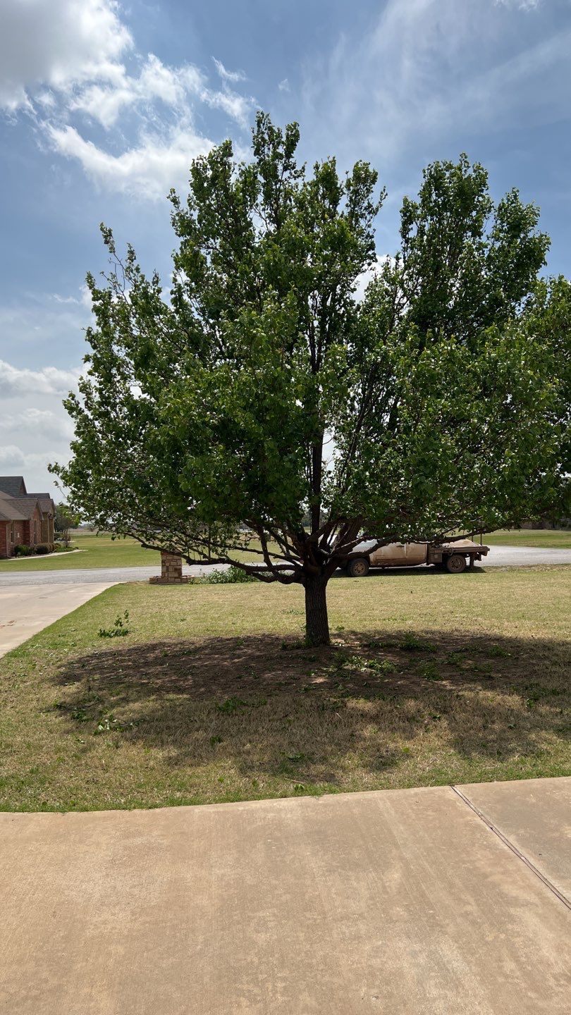 Landscapes by Clays Services Inc