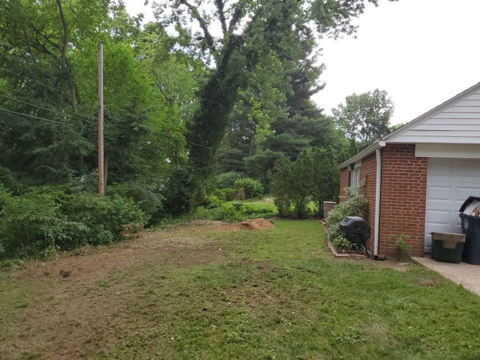 Tree Removal using Tree Removal by Mike Jones & Sons Tree Service LLC 