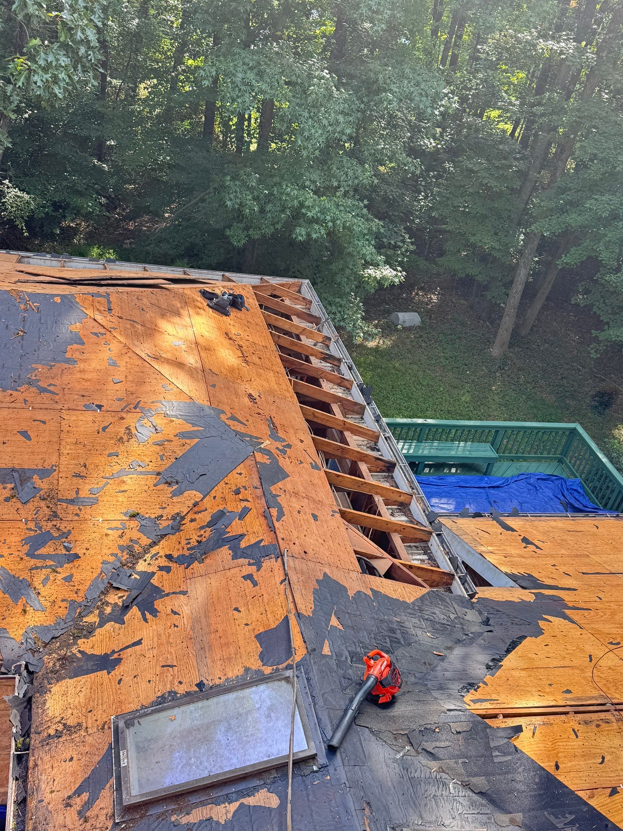 Comprehensive Architectural Shingle Roof Replacement and Skylight Installation in Laurel by First Chesapeake Roofing