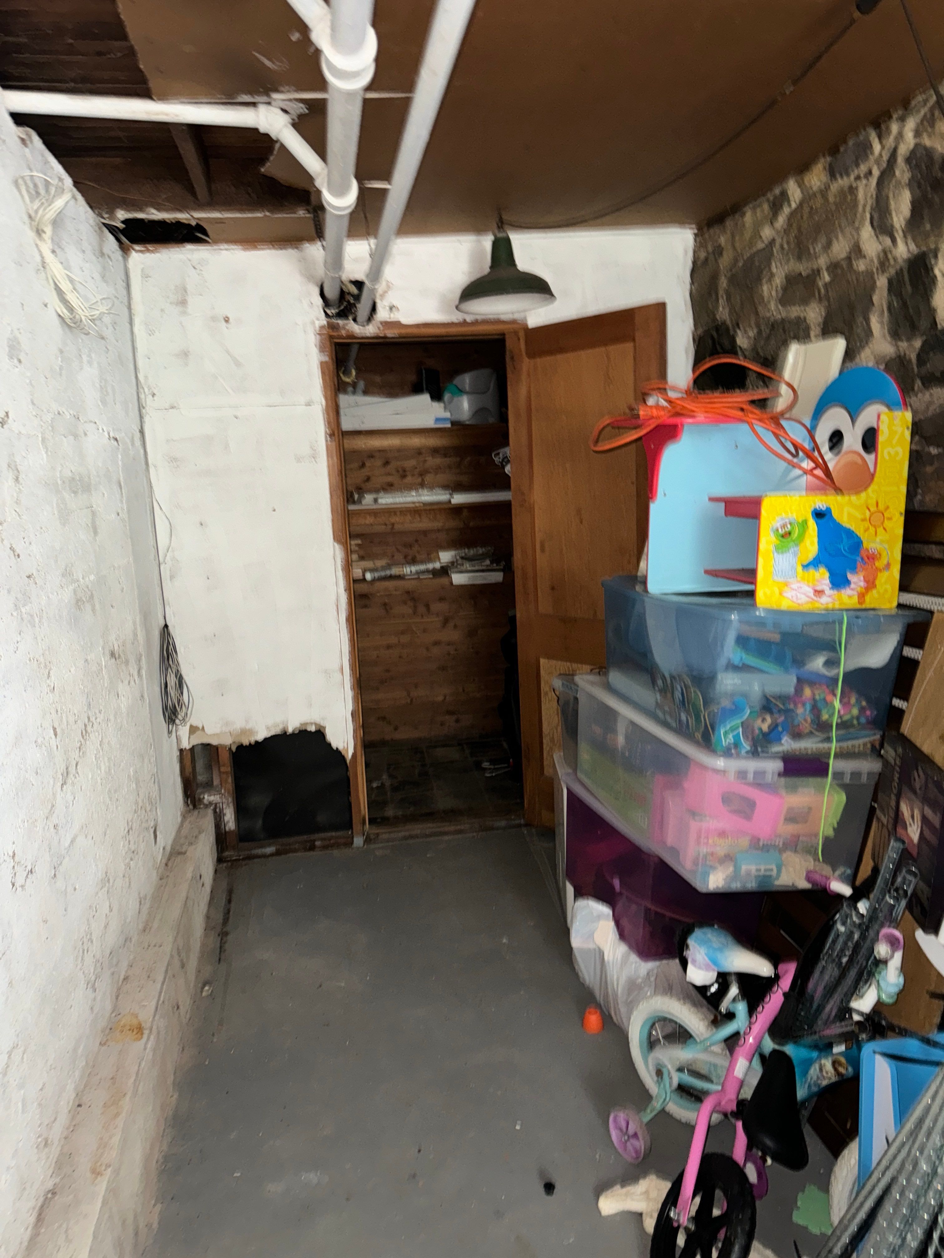Interior French Drain & Mold Remediation in Mt Tabor NJ by Pure Service Pro, LLC 