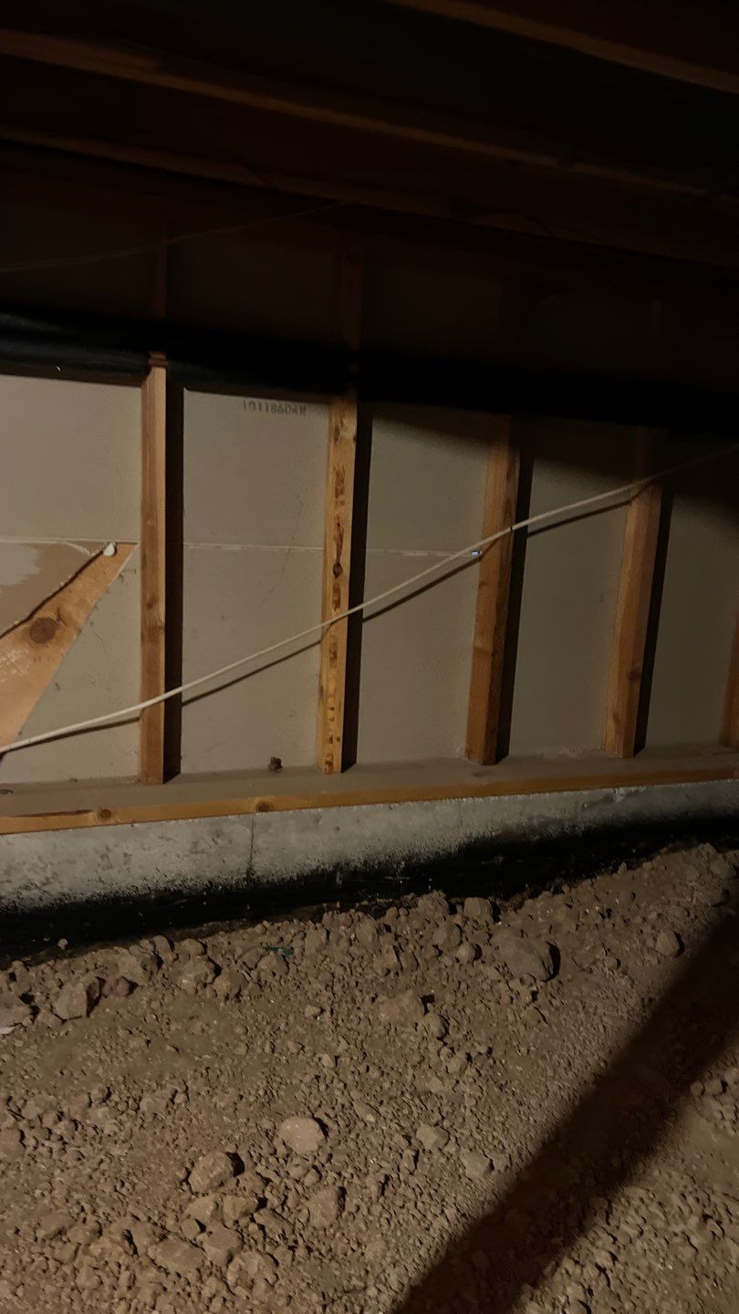 Mold Damage by Accountable Home Services