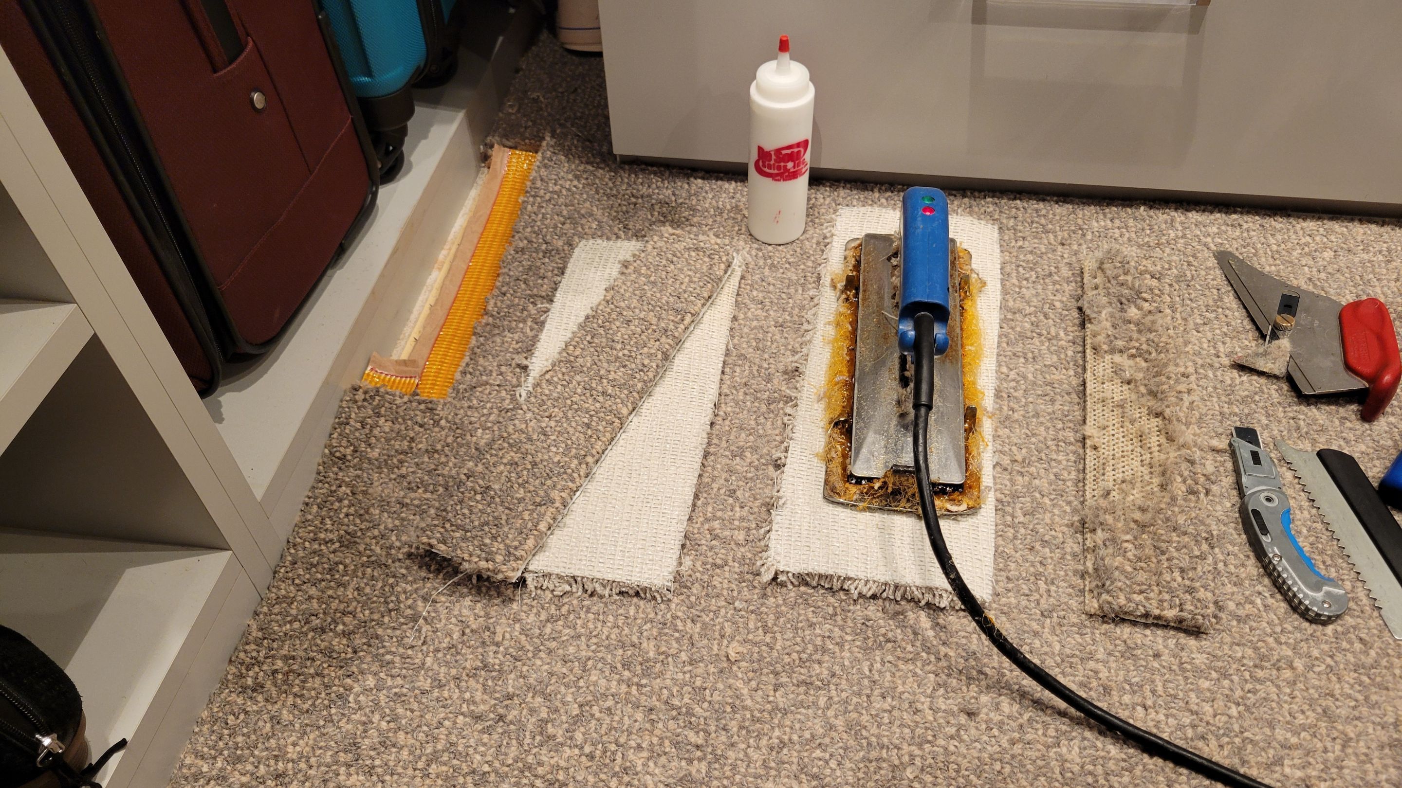 Repairing Wool Carpet Damaged by Moths by Ardent Carpet Restore LLC