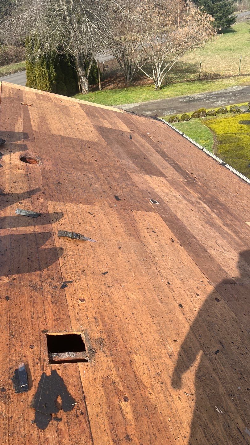 Birchwood Shingles by Reimagine Roofing