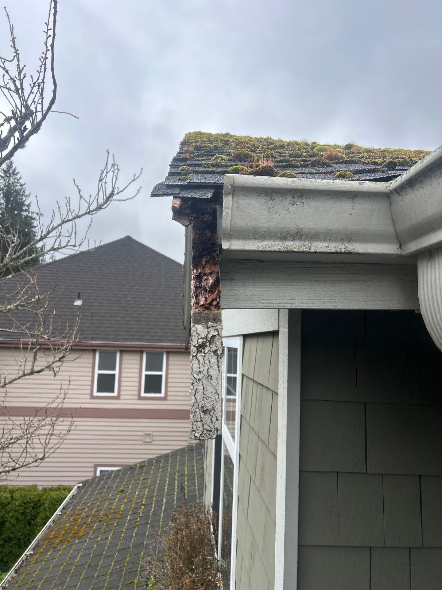 Project in Bellevue by Peaks and Valleys Construction