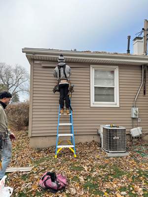 Latest photograph of the Turtle Shell installation in Lombard, IL 60148