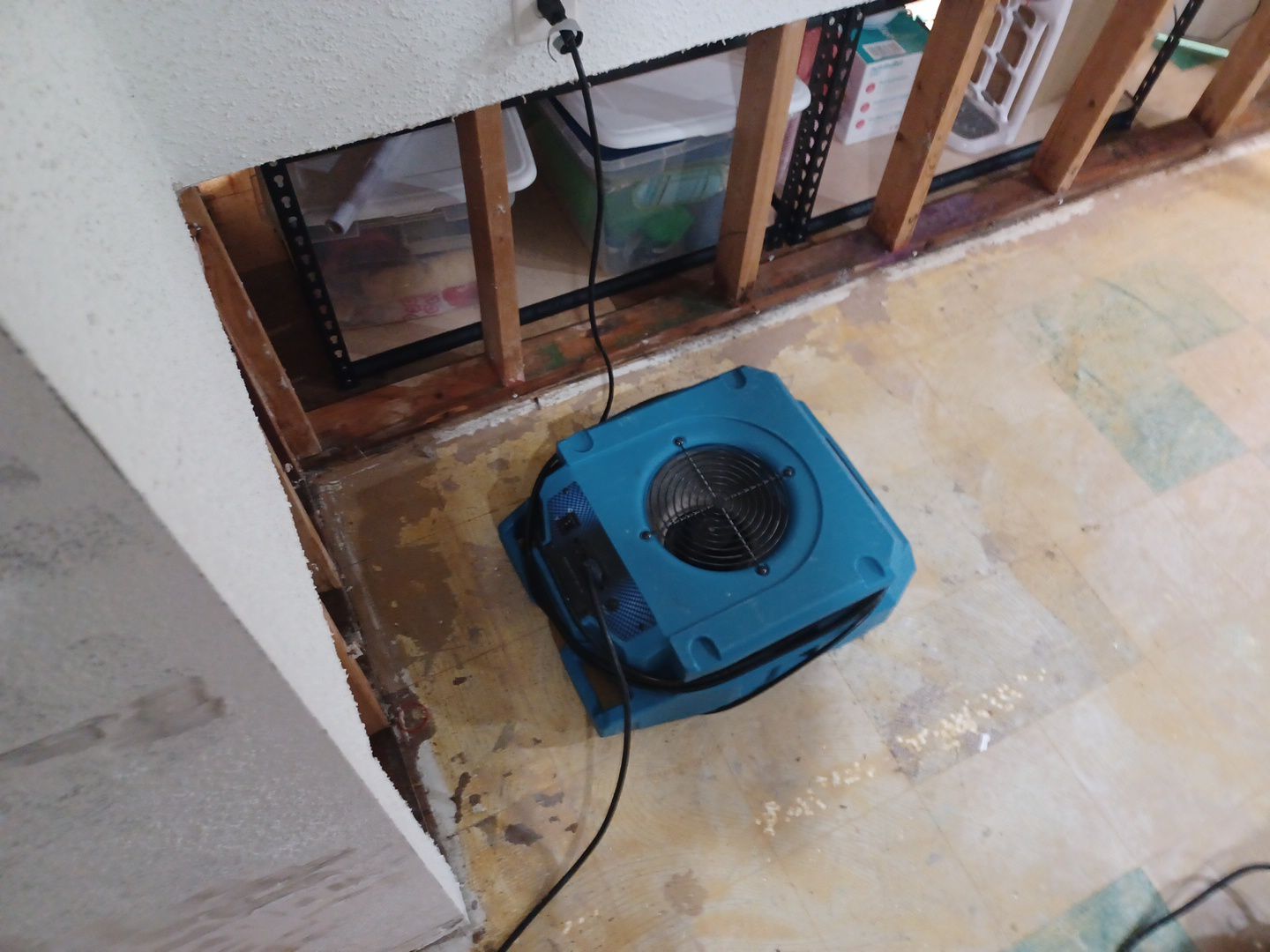 Project in St Clair Shores by EzDry Water Mitigation & Property Restoration