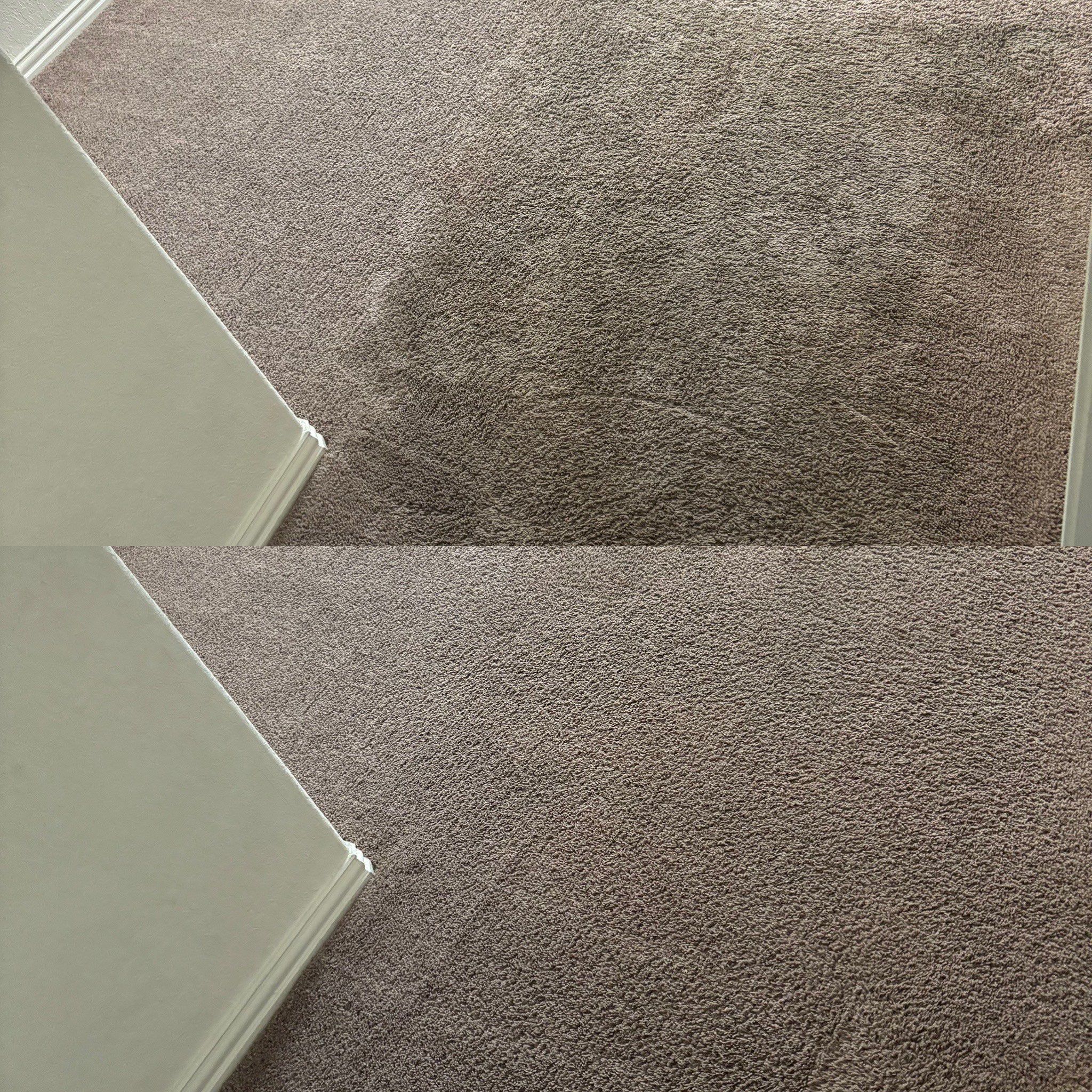 carpet cleaning service removing stains from carpet making it look fresh and revitalized after cleaning process