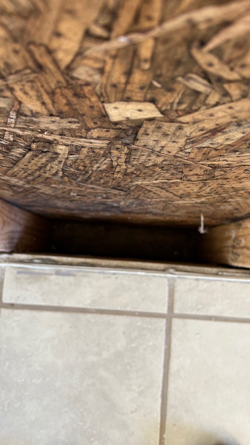 Mold Remediation  by Accountable Home Services