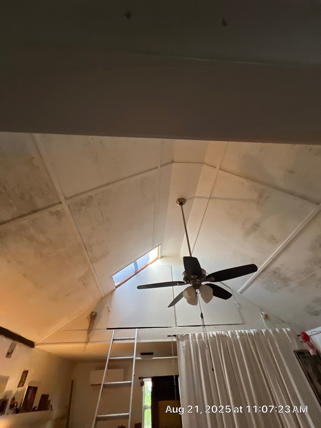 Mold Inspection & Remediation In Bradenton, FL by Ampm Restoration Services
