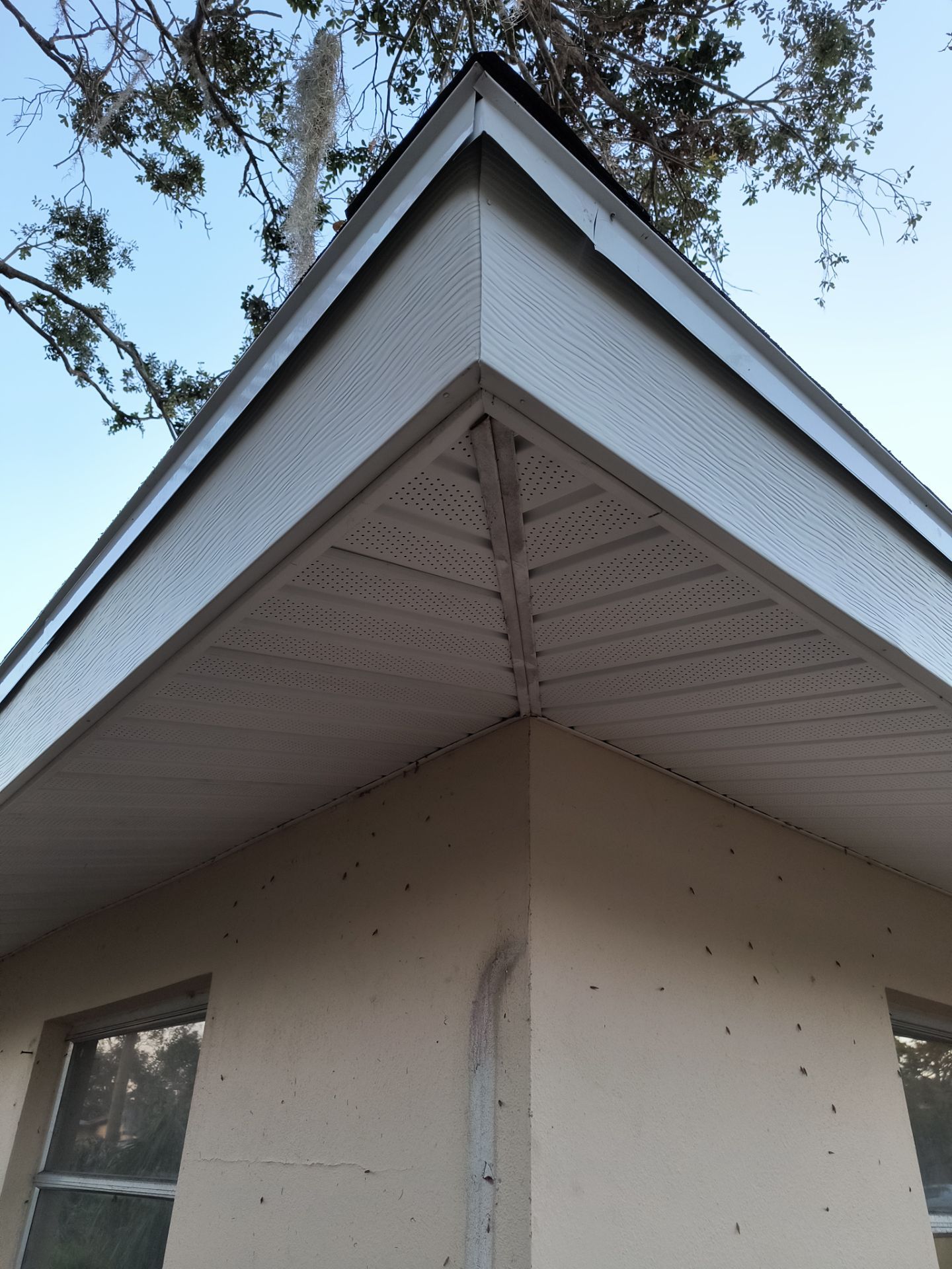 White Soffit and Fascia Upgrade in Sarasota FL by Gutter Professors