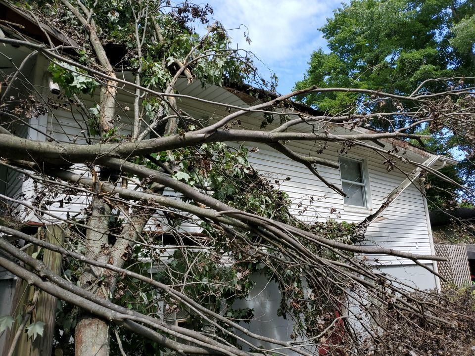Storm Damaged Tree Removal  by Mike Jones & Sons Tree Service LLC 