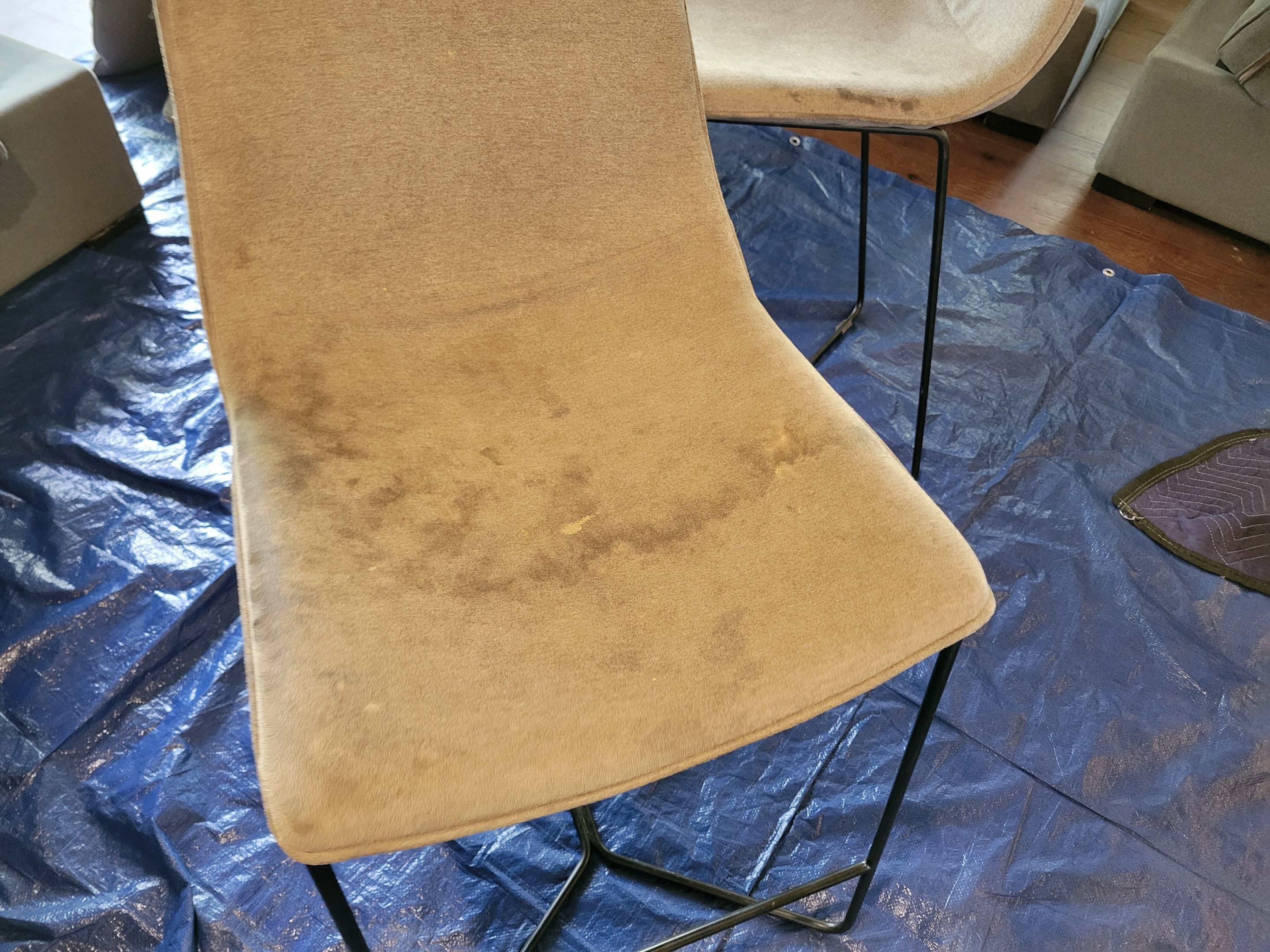 Cleaning of Sectional Sofa, Dining Chairs, Bar Stools by Ardent Carpet Restore LLC