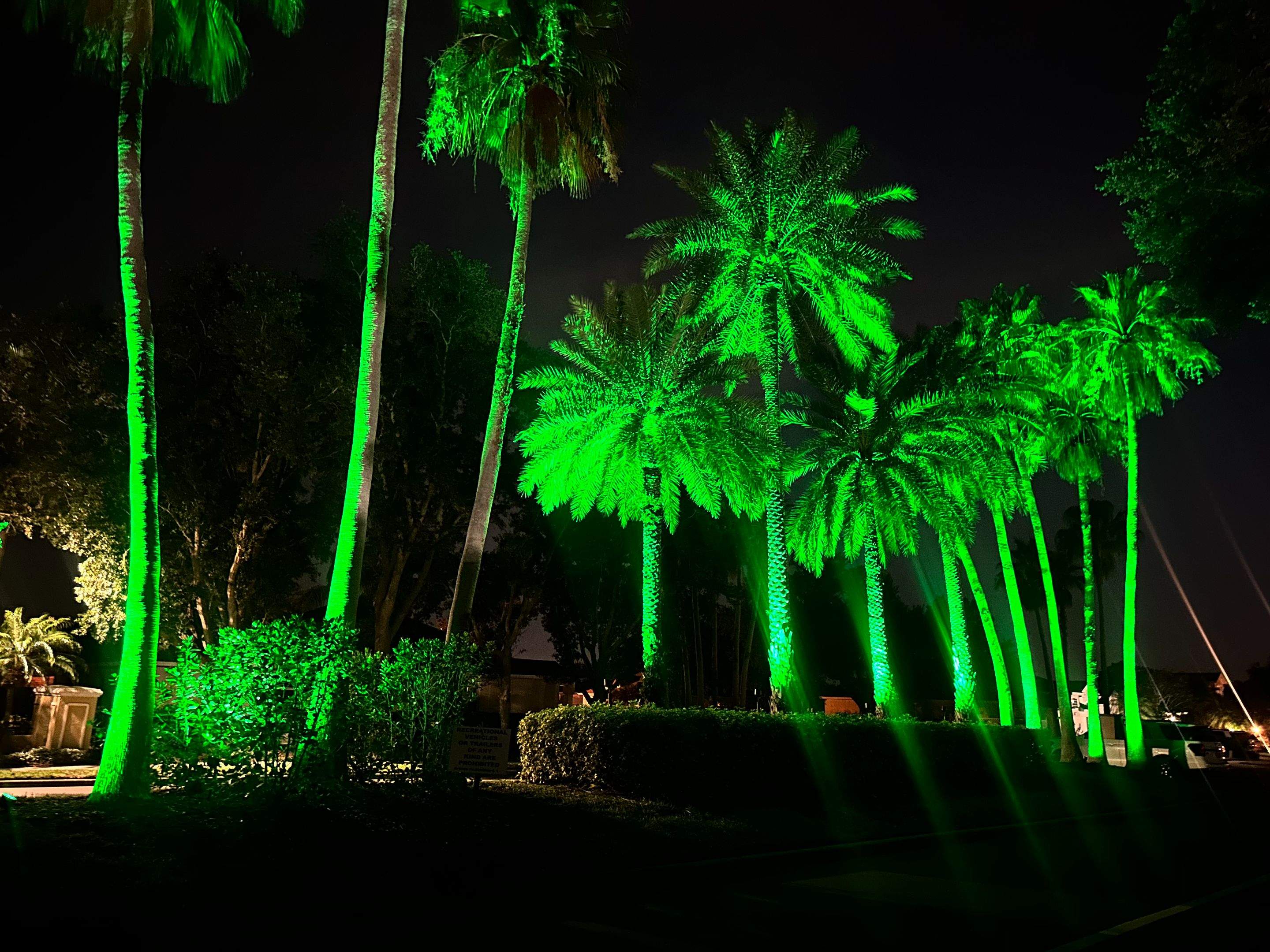 Transform Your HOA Entrance for Every Season -Without the Decorating Expense by Illuminate Landscape Designs