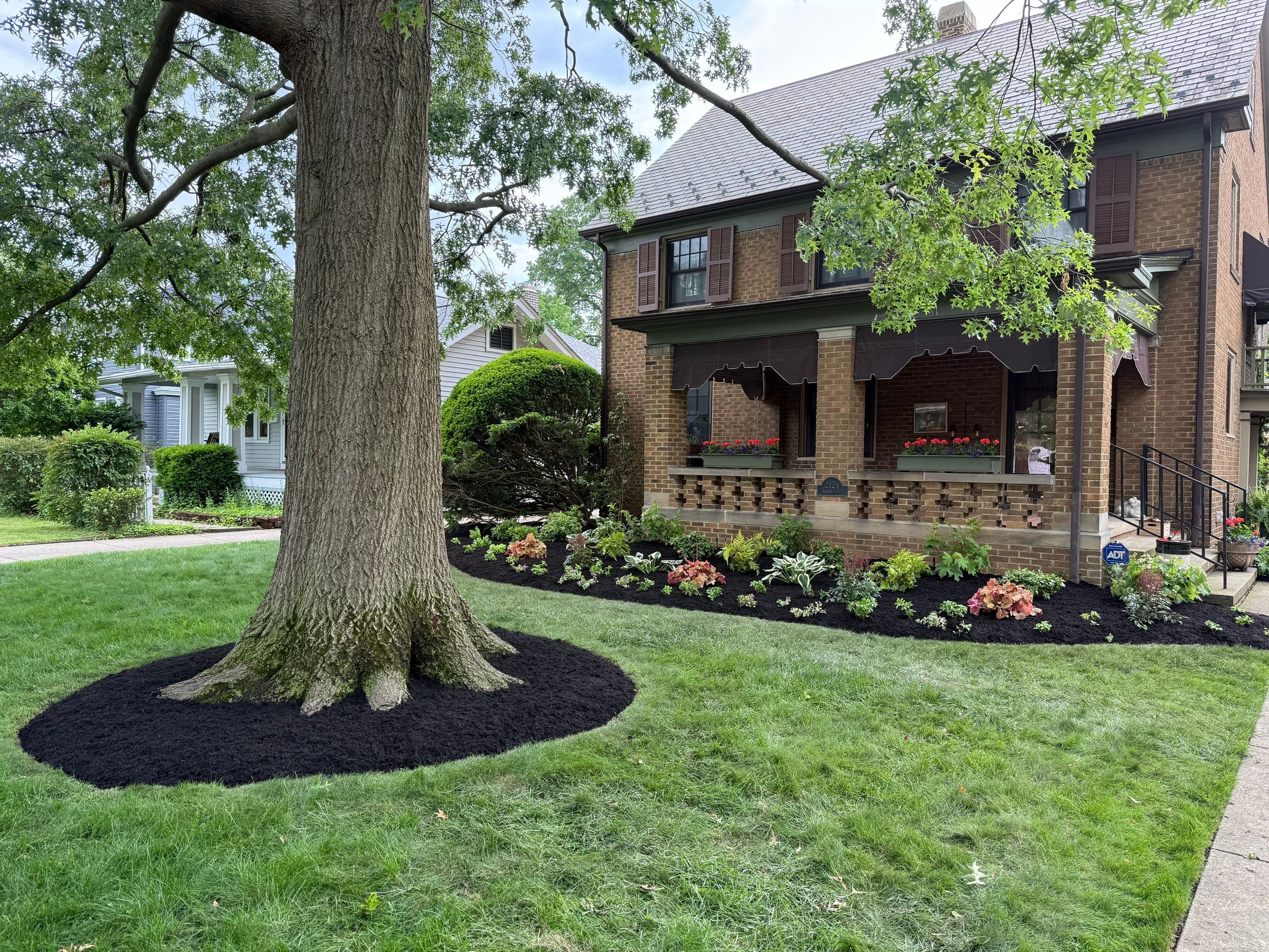 Historic Arthur Project by Elm Rose Gardens