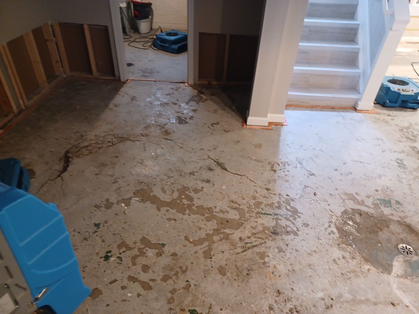 Project in Royal Oak by EzDry Water Mitigation & Property Restoration