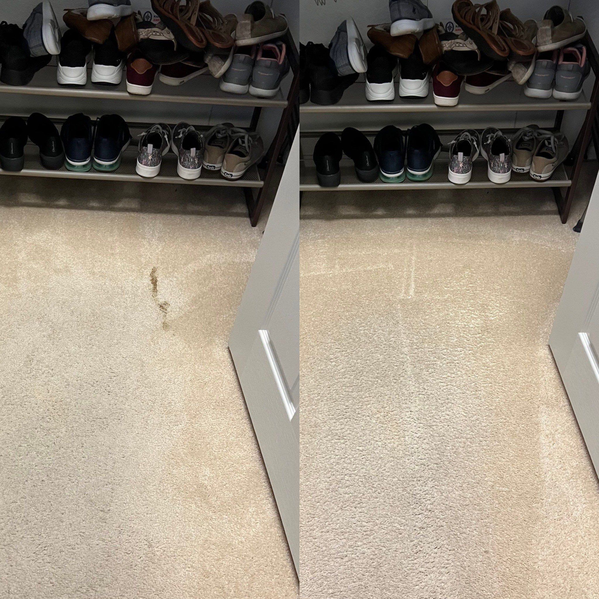 before and after image showing carpet stain removal by a carpet cleaning company in san antonio tx
