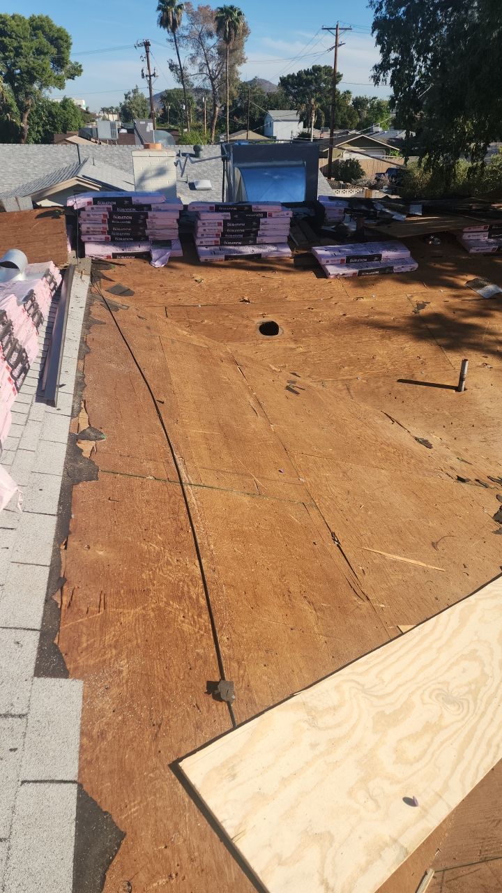 Silver Birch Shingles by Reimagine Roofing