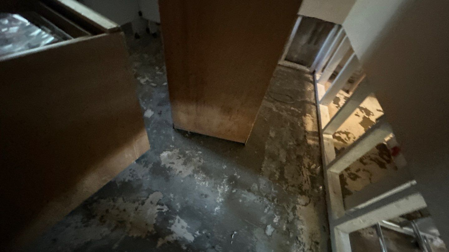Water Damage Project in Conifer by Accountable Home Services