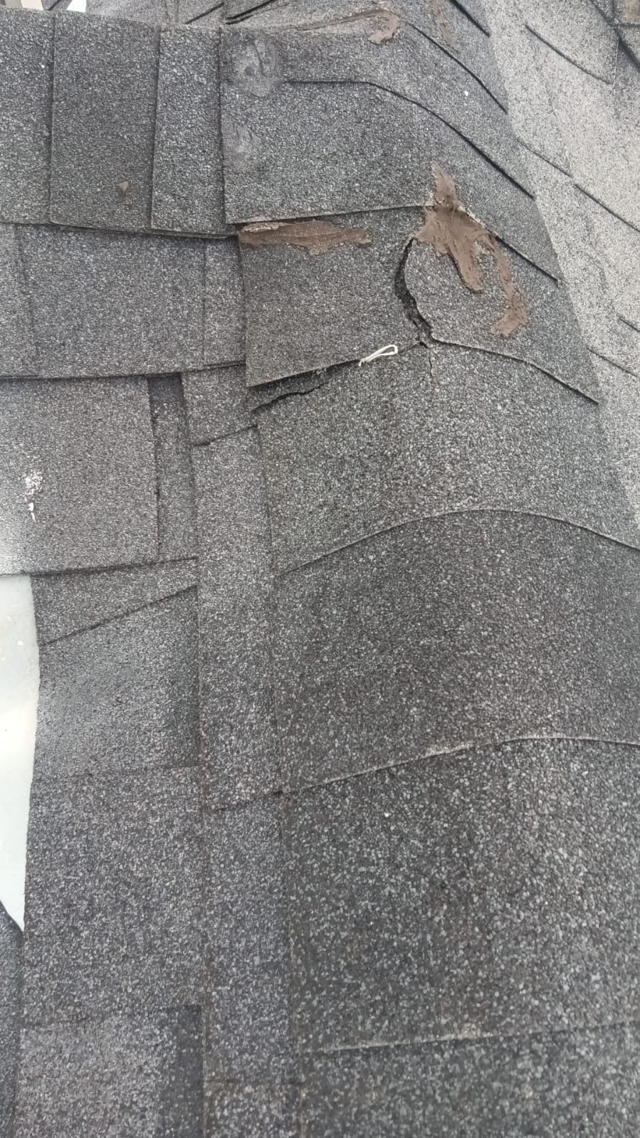 Hail Damage using Owen's Corning Duration (Lifetime) Shingles by Roof Repair Company
