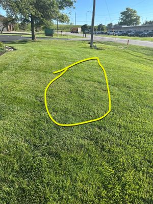 Custom Lawn QC visit 