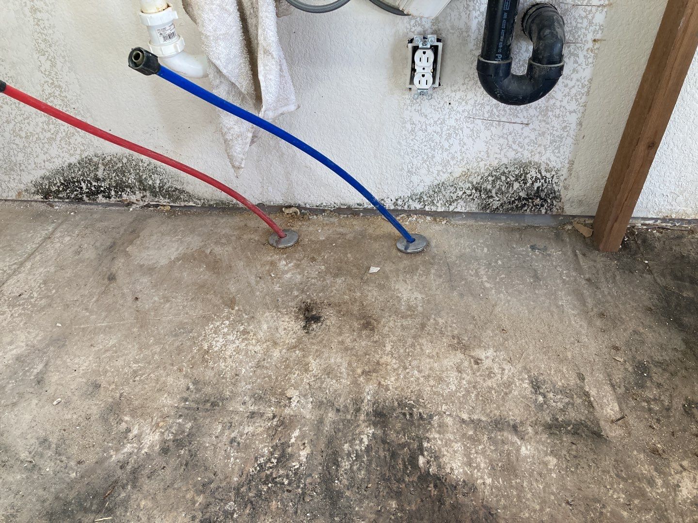 Mold Remediation in Kitchen by Accountable Home Services