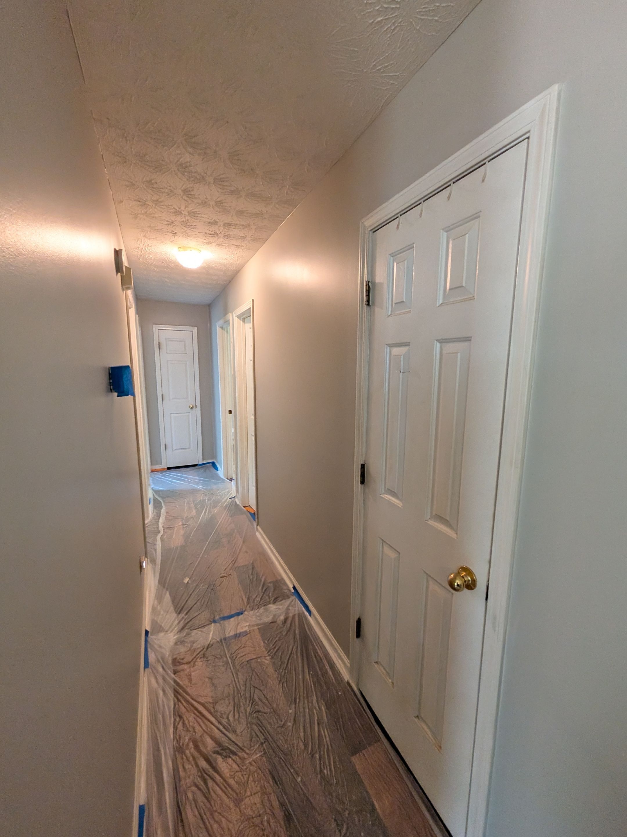 Whole-Home Interior Repaint and Neutral Color Transformation by PGP Surface Solutions, LLC