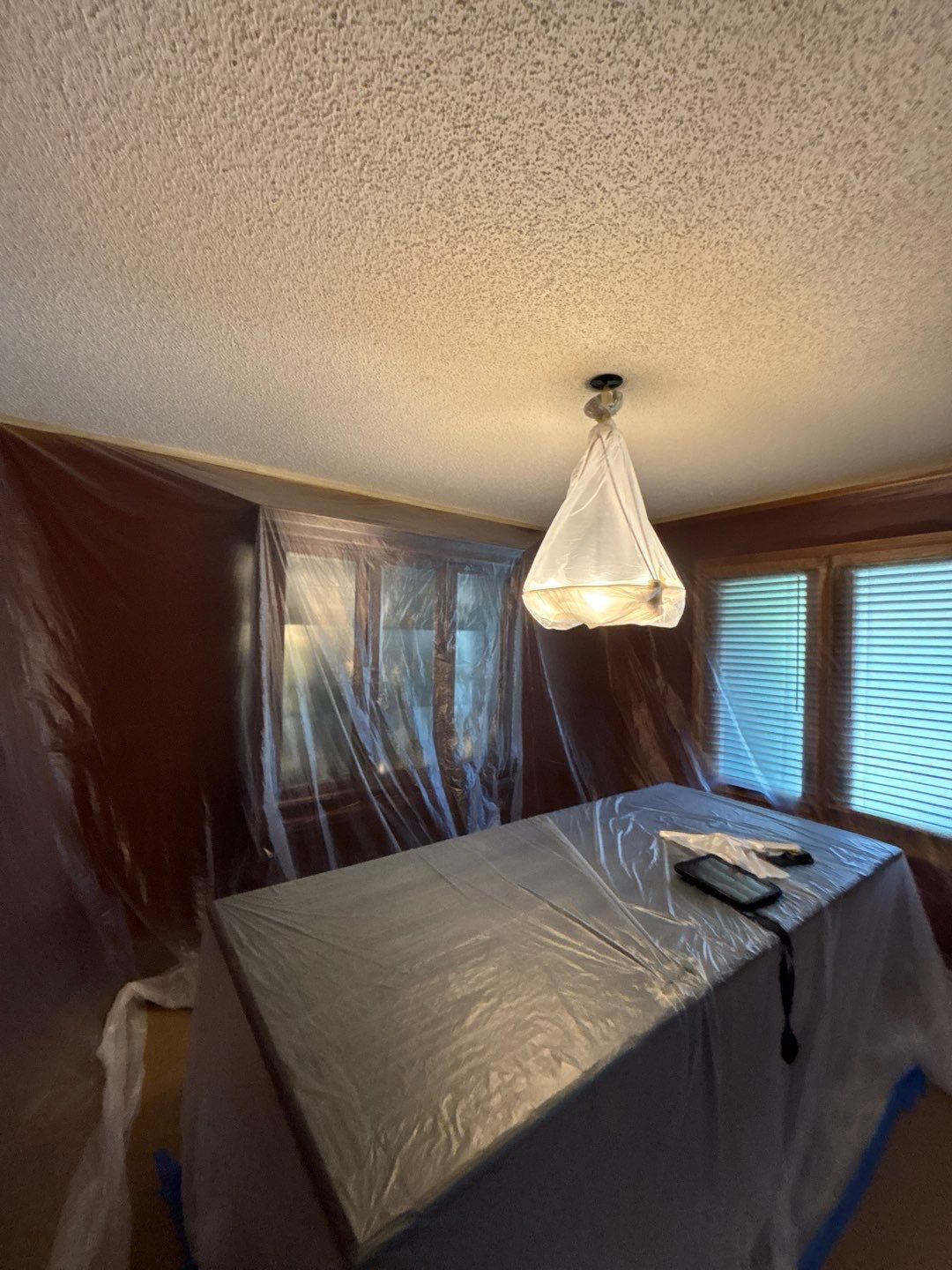 Level Up Your Ceiling: Texture Removal & Refinishing by Cougar Painting