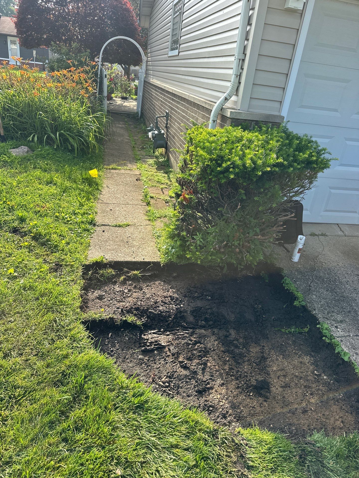 Rudel B. - Elk Grove Village, IL by A&N