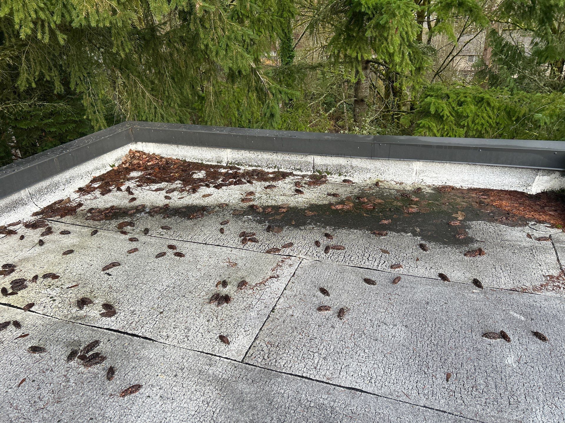 Project in Kirkland by Connolly Construction Company