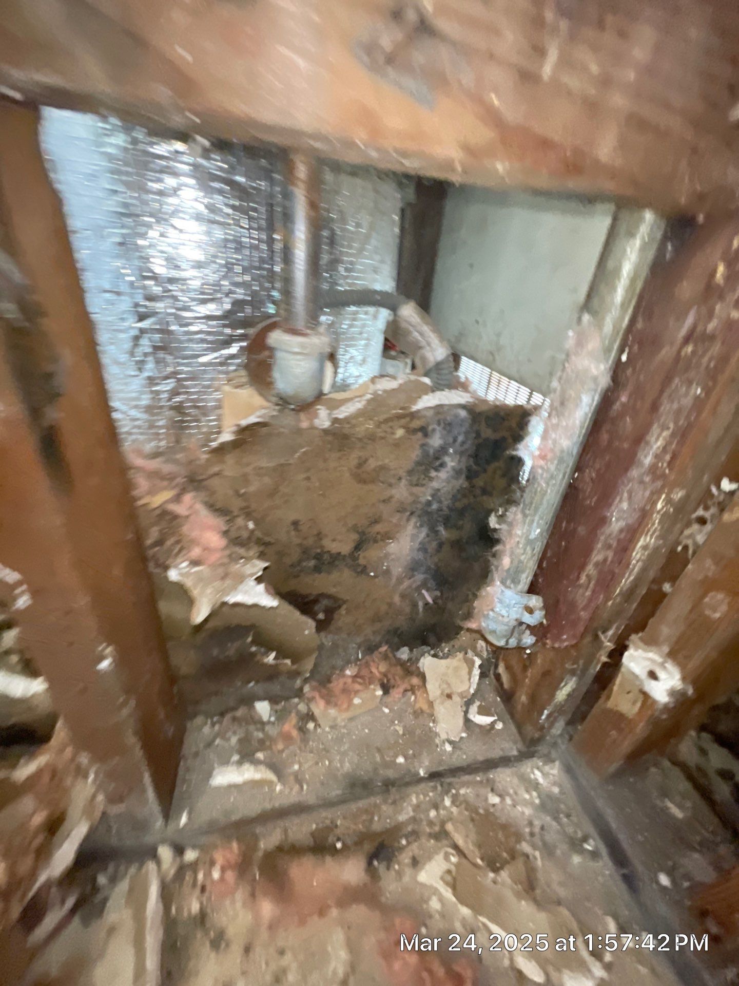 Project in Fresno by 911 Hazmat Cleanup
