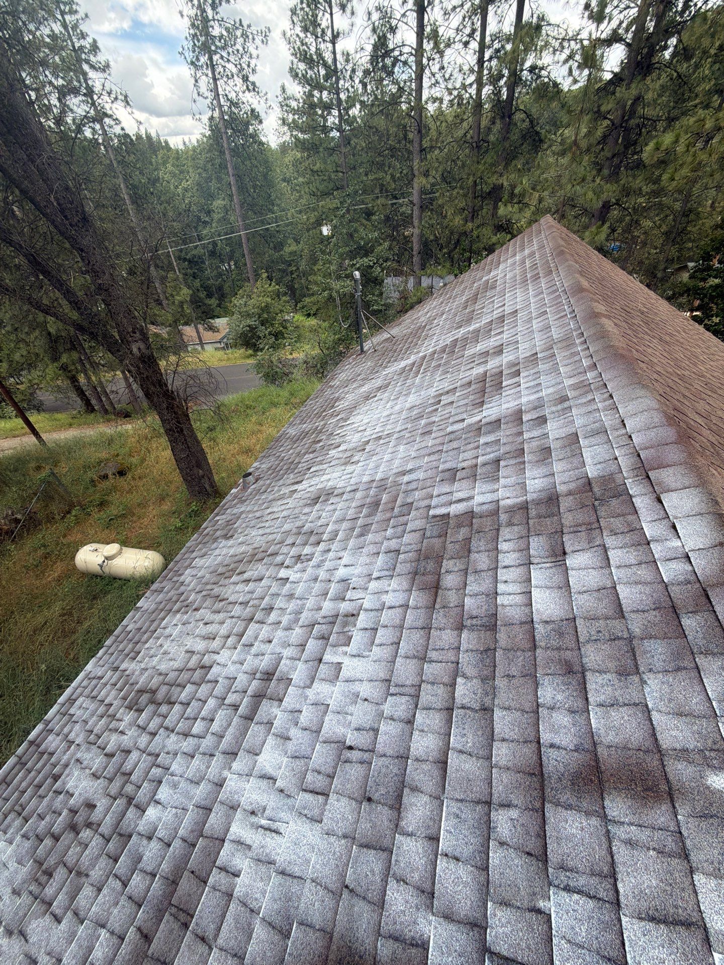 Roof Rejuvenation using Roof Maxx Treatment by Roof Maxx of Folsom