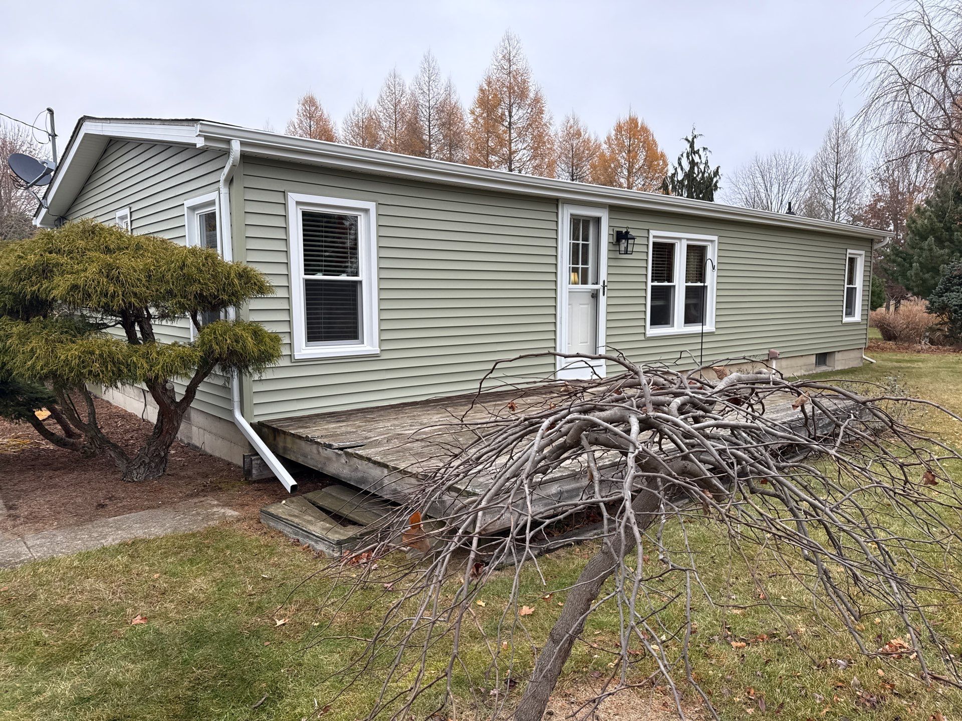 Rives Junction by Sunrise Seamless