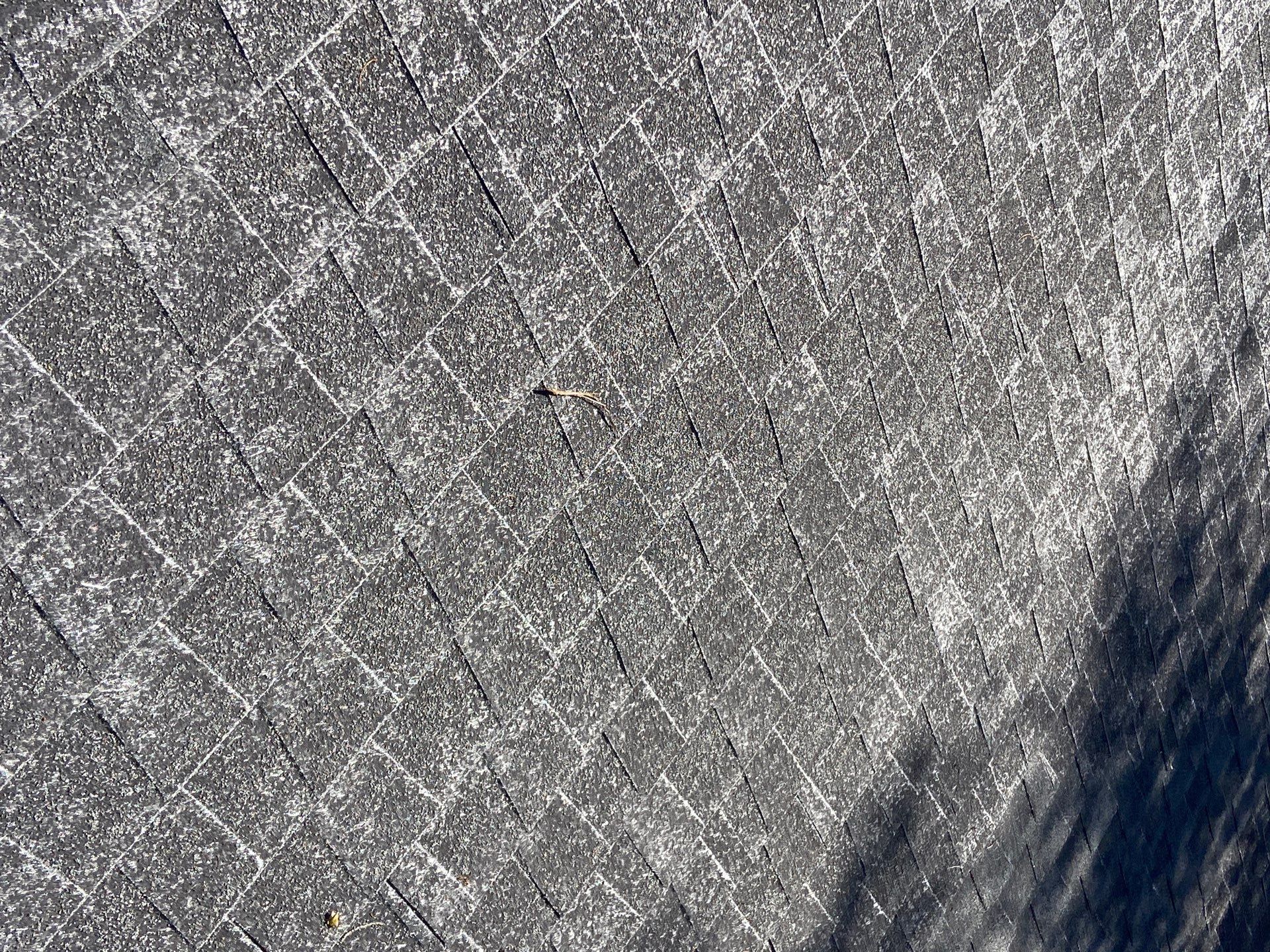 Roof Rejuvenation using Roof Maxx Treatment by Roof Maxx of Folsom