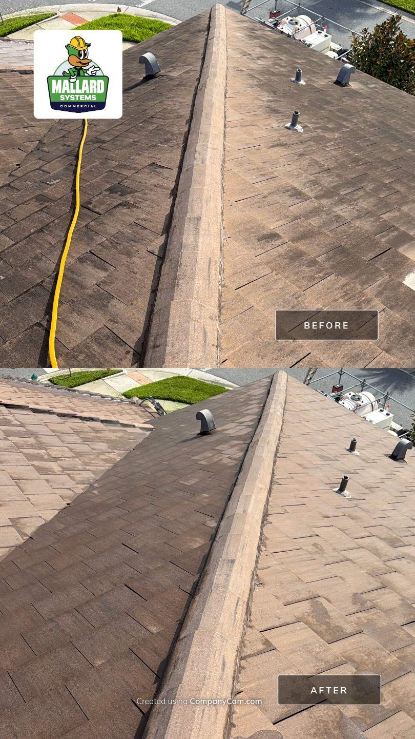 Tile Roof Cleaning in Orlando's Golden Oak Community by Mallard Systems