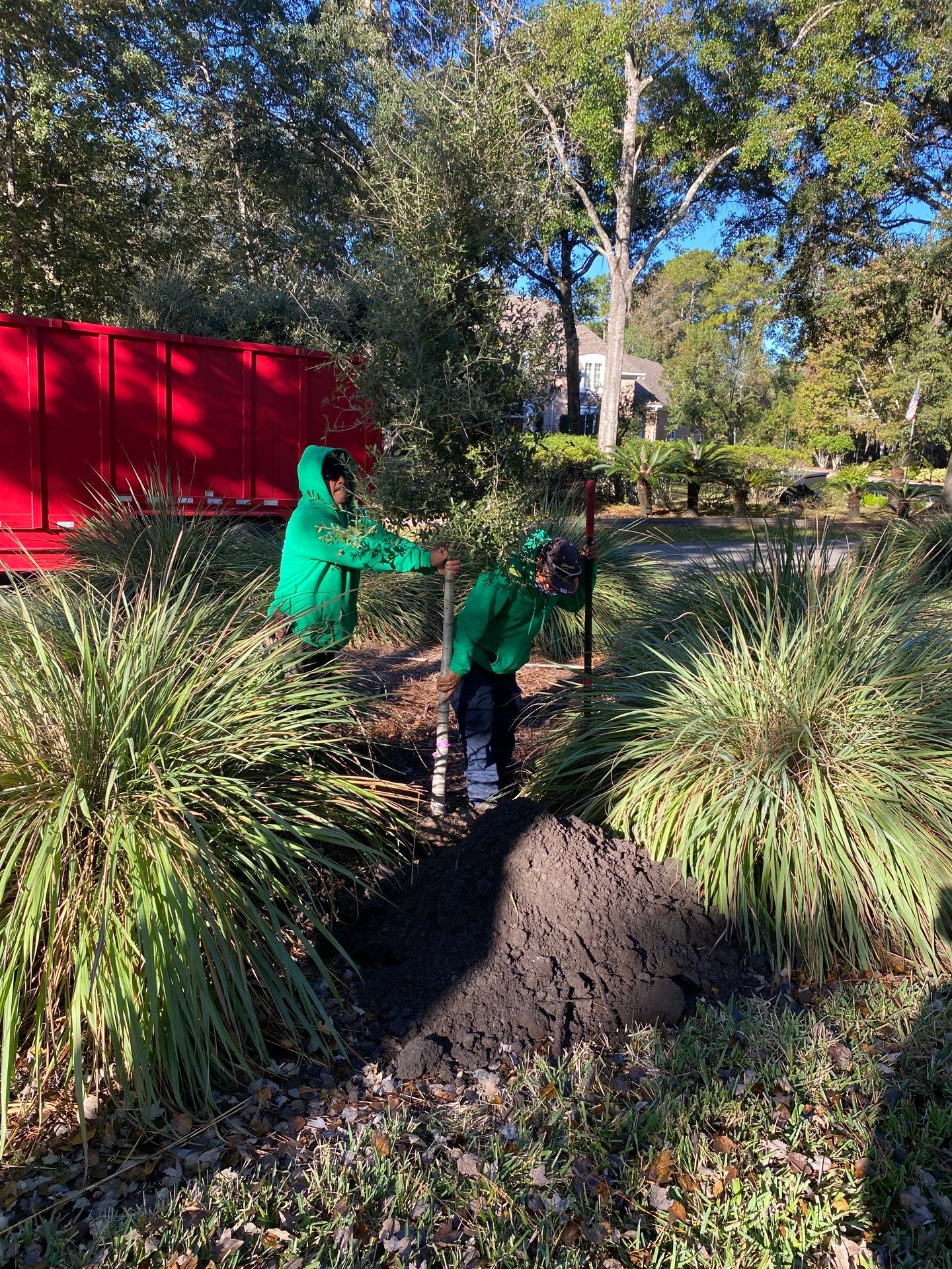 Deerwood Community | Oak Tree Replacement Project by ProGreen Services