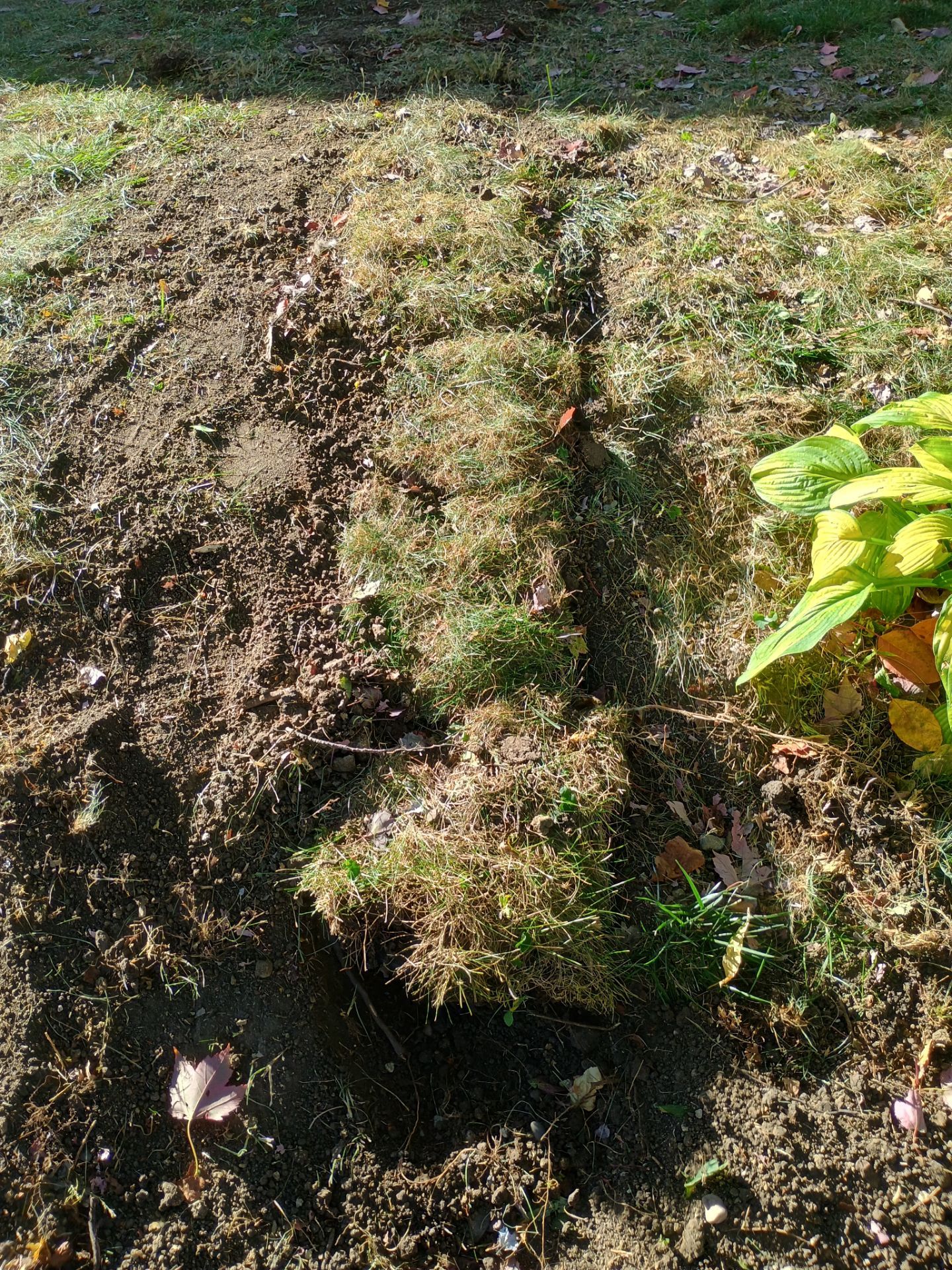 French Drain Installation for Michael by Waterproofing Northeast