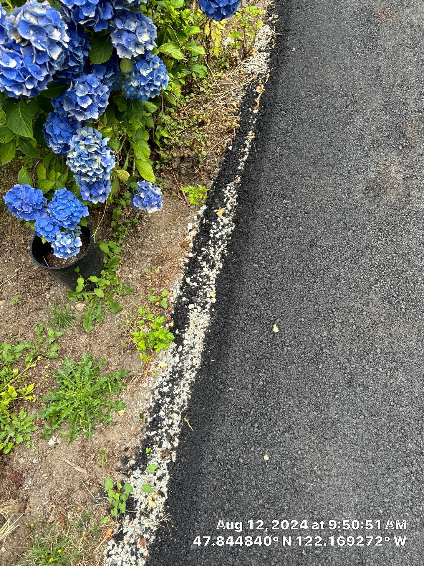 Danny | Asphalt Road Repair  by Jireh Asphalt & Concrete Inc 