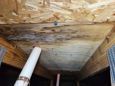 Residential Roof Repair Addressing Sheathing Damage in Frederick, Maryland