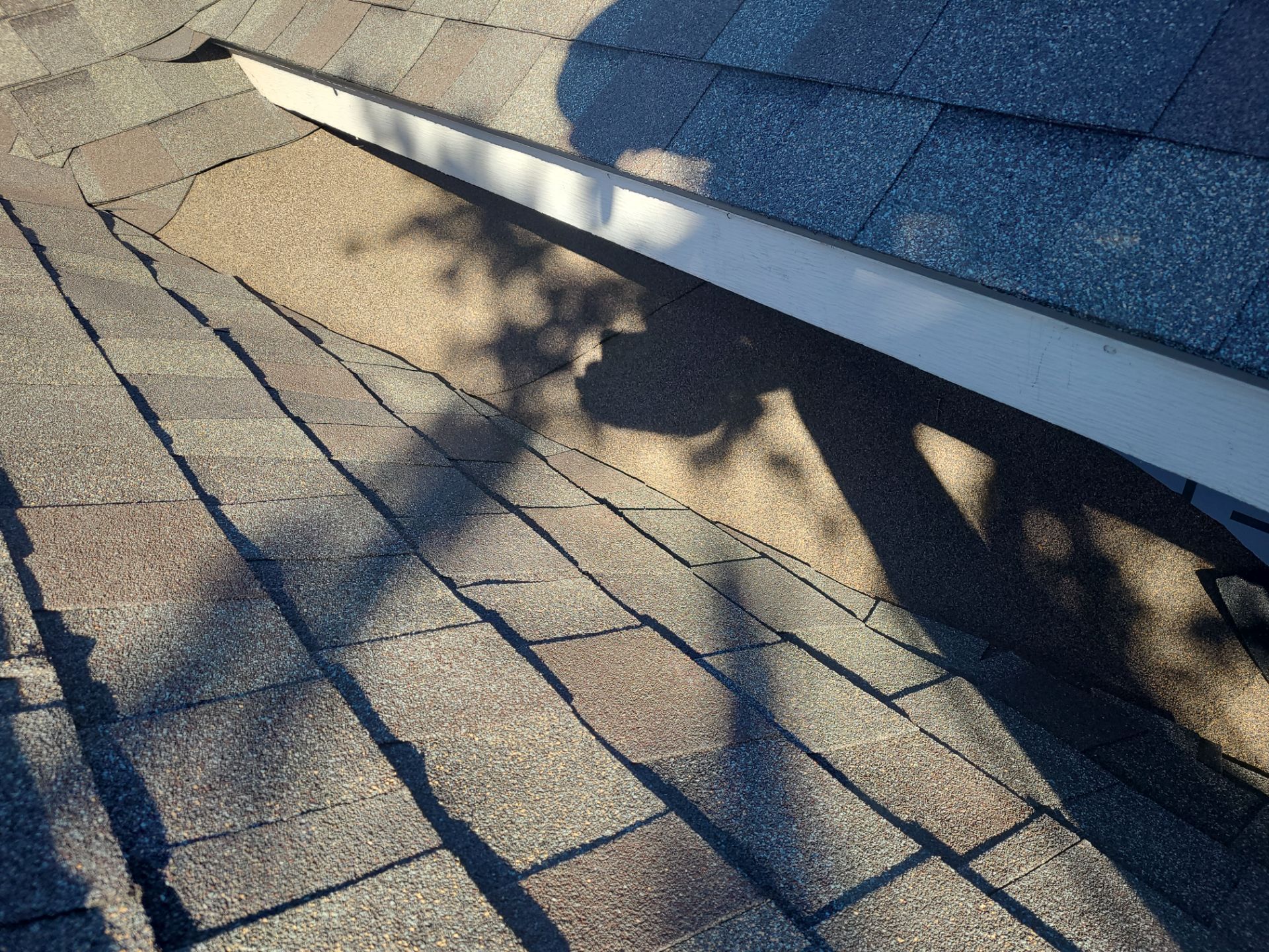 Full Exterior Freshen-Up by Oakwood Roofing and Construction, LLC