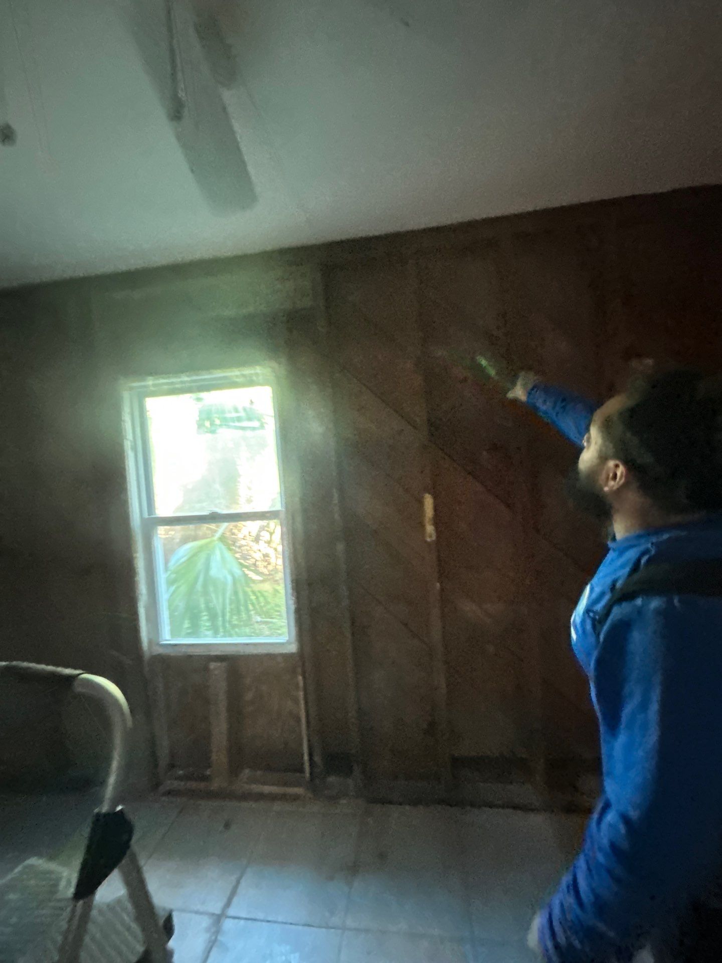 Mold Removal And Remediation In Saint Petersburg  by Ampm Restoration Services 