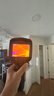 Black Mold Removal — Cape Coral, FL