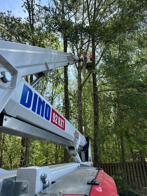 Disaster Relief using Dinolift 