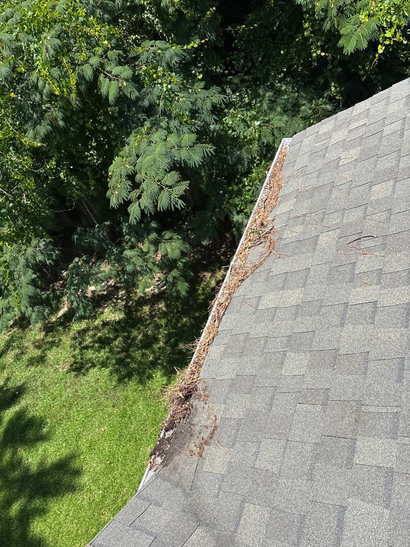 Commercial gutter cleaning Greenville, NC before photo with filled gutters