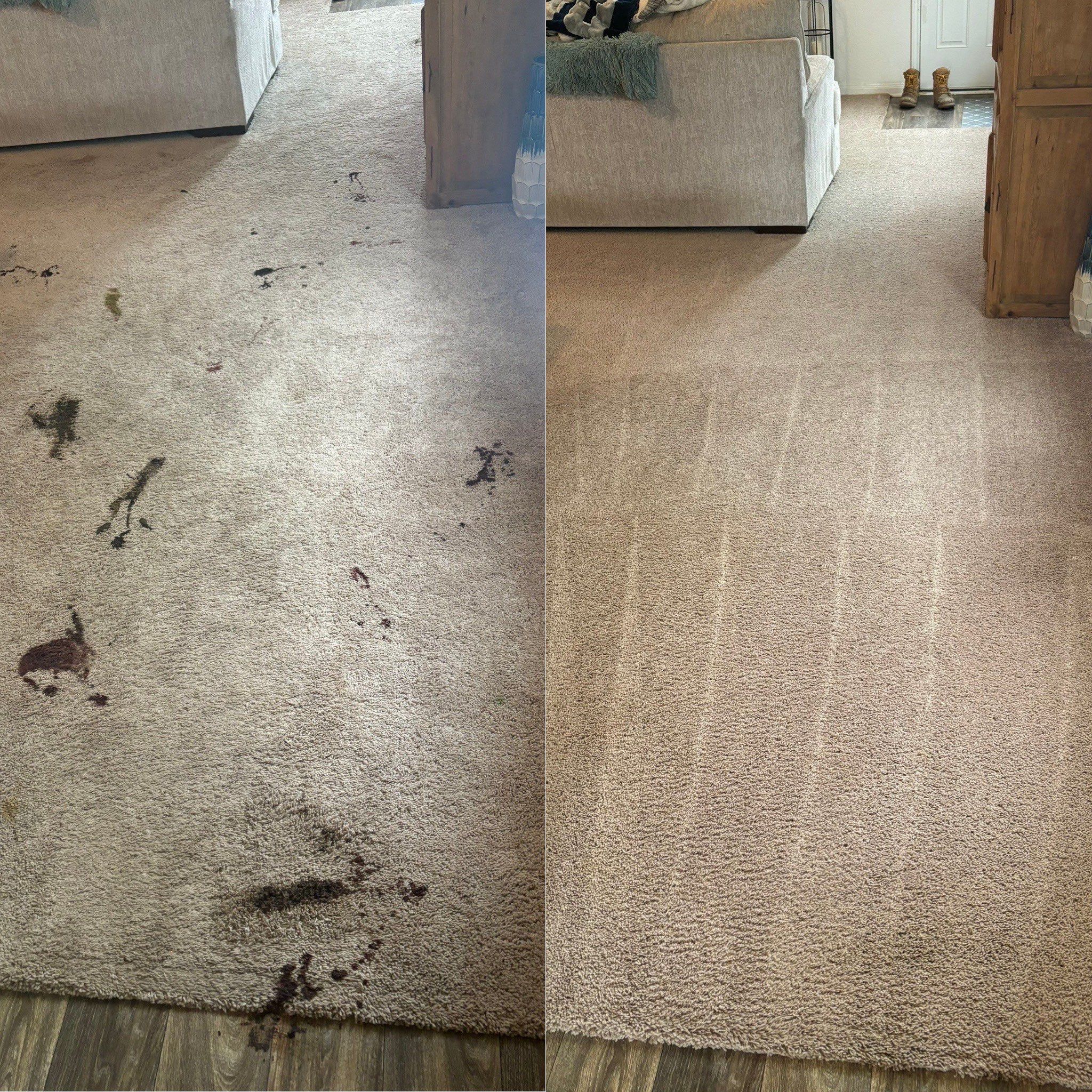 the service shown is deep cleaning of stained carpet restoring its clean appearance and removing visible dirt and marks