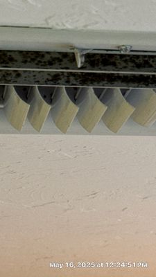 Mold Assessment using IR Camera, Moisture Meter, Air Cassette samples and Tape lifts
