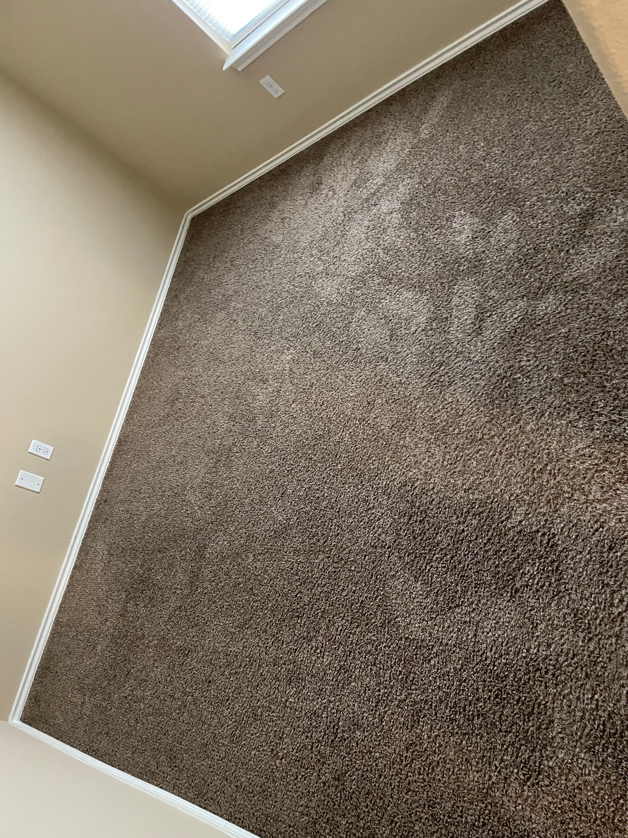 steam cleaning or hot water extraction on residential carpet to remove dirt and stains