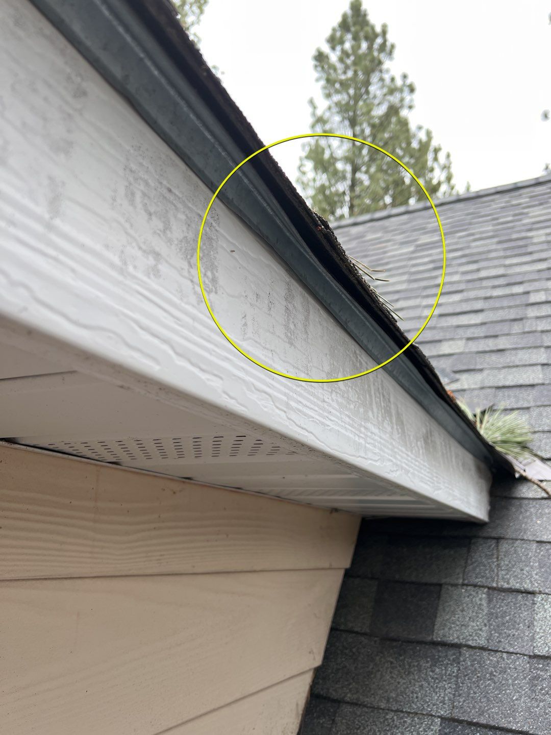 Green Snap Lock Standing Seam  by Montana Roofing Solutions