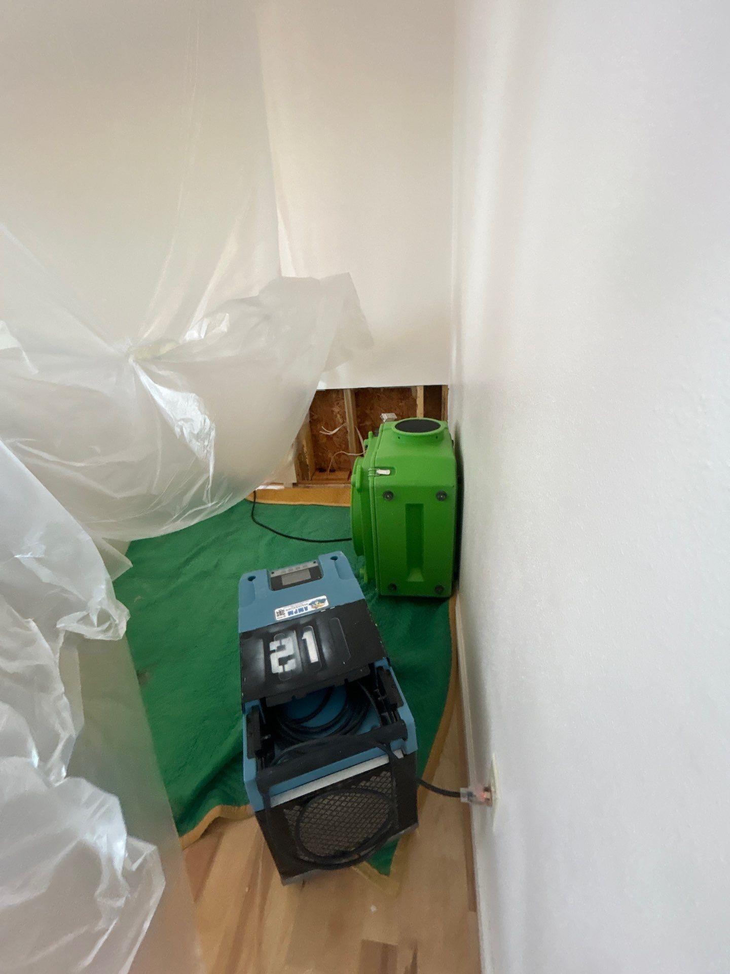 Mold Remediation Sarasota by Ampm Restoration Services