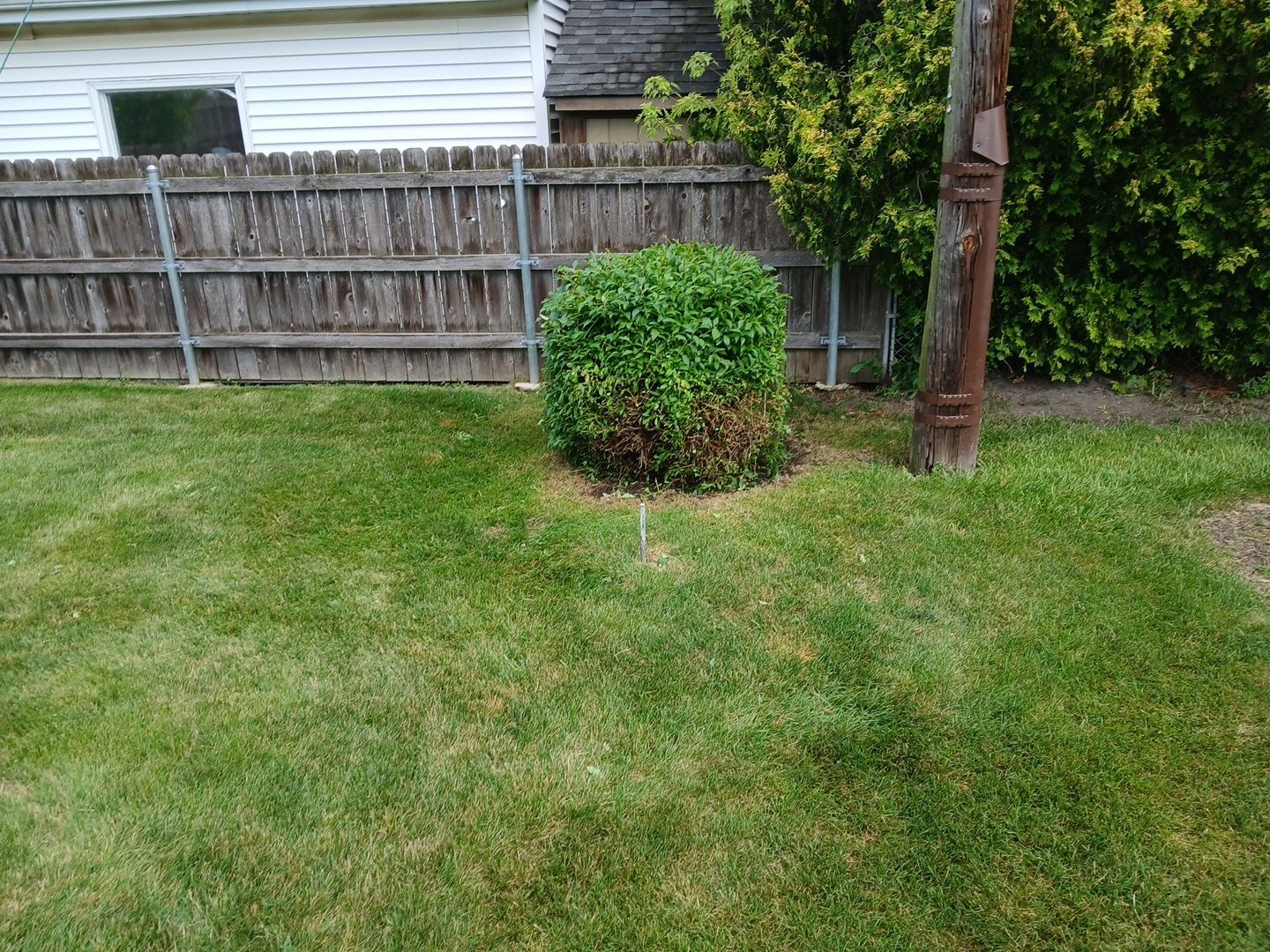 Catherine B. - Mount Prospect, IL by A&N